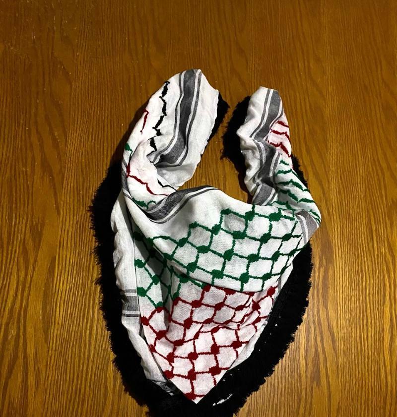 Palestine Flag Scarf, 4 mixed colors, Keffyeih Hi-Quality, Arab Hatta Scarf, Bandana Kofya Kuffyieh, White Tassels Woven Stitched NOT Printe